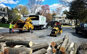 Best Firewood Processing and Delivery  in Neptune City, NJ