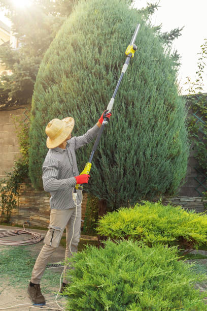 Best Lawn Grading and Leveling  in Neptune City, NJ